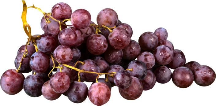 Purple Grape Cluster 